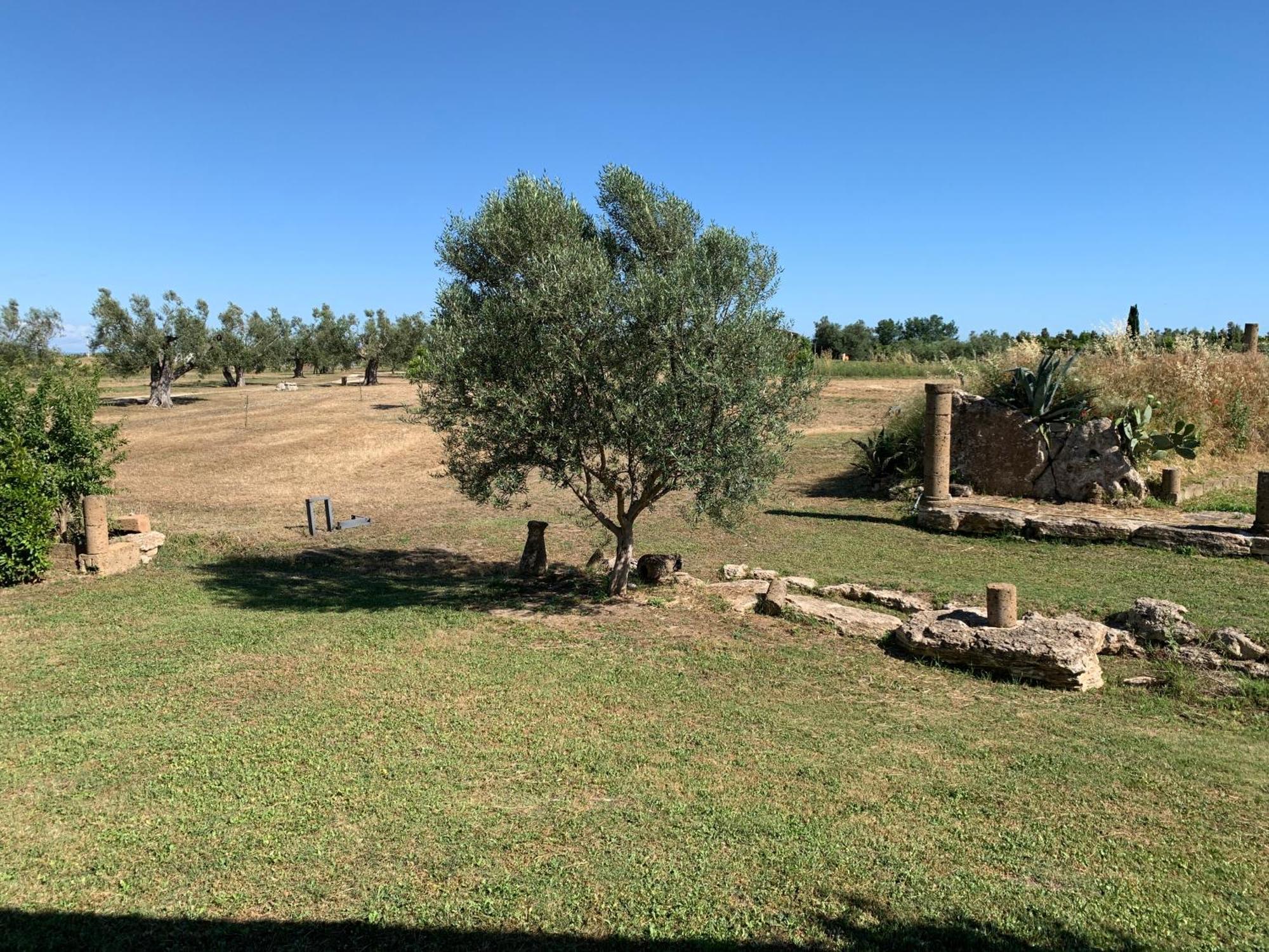 Resort Fonte Vulci Canino Exterior foto
